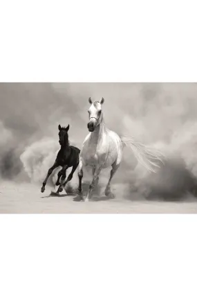 Black And White Photographic Artwork | Andrew Martin Horses